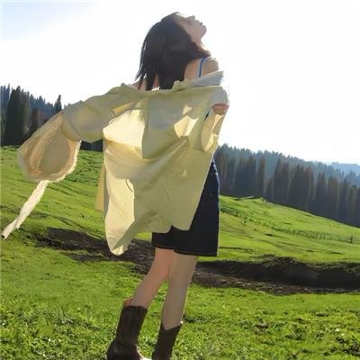 护宝联盟第二季